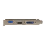 Tarjeta De Video MSI NVIDIA GEFORCE 210 / 1GB GDDR3 / 64 Bits / DVI, D-SUB, HDMI / PCI Express 2.0 X16 - Image 5